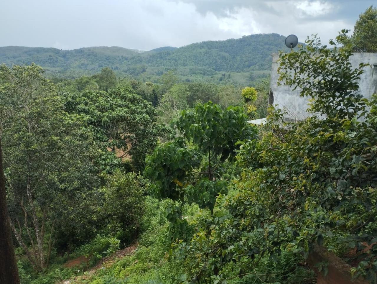 Bogala Village Eco Resort Кегалле Экстерьер фото